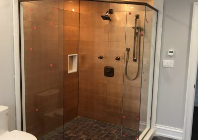 Shower Door Frameless