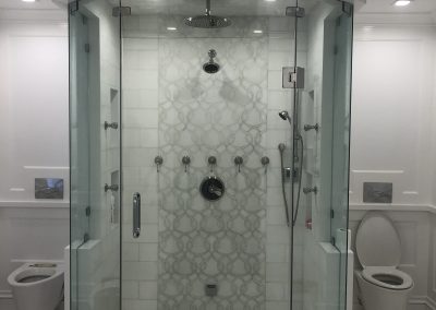 Shower Door Frameless